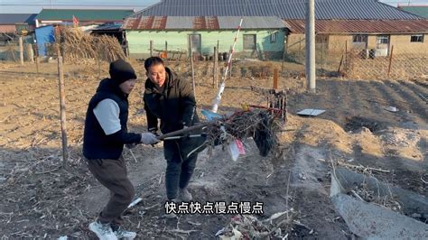 中朝边境农村天气越来越暖和土地开化了和哥们一起收拾下院子中朝边境农村天气越来越暖和土地开化了和哥们一起收拾下院子 YouTube