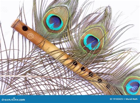 Bamboo Flute, Peacock Feather Royalty Free Stock Photo - Image: 19183425