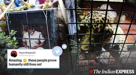 Forest Official Enters 100 Feet Deep Dry Well To Rescue Leopard In