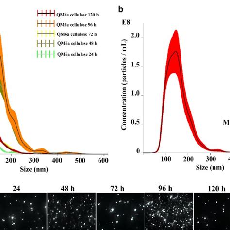 Nanoparticle-tracking analysis (NTA) of extracellular vesicles (EVs ... 