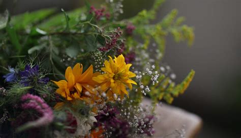 Blumen Im Lehel Ihr Blumenladen Im Herzen M Nchens