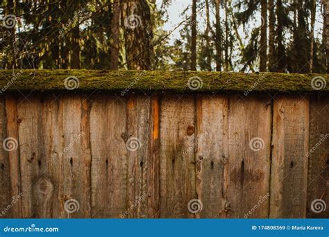 Old Wooden Fence Covered With Lichen Natural Texture Of A Wooden Fence