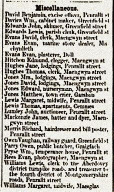 Victorian Machynlleth - assorted occupations,1874