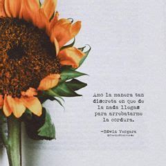 La Imagen Puede Contener Flor Frases Girasoles Escritos Frases