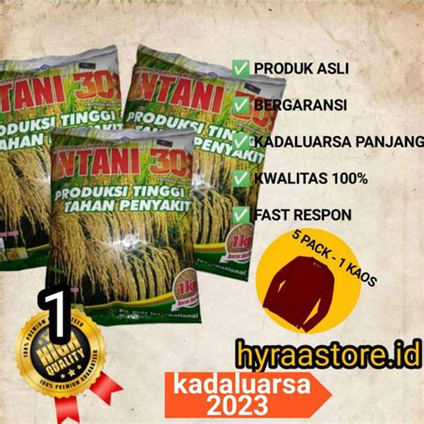 Jual Benih Padi Hibrida F1 Intani 301 Sekelas MAPAN P 05 SUPPADI