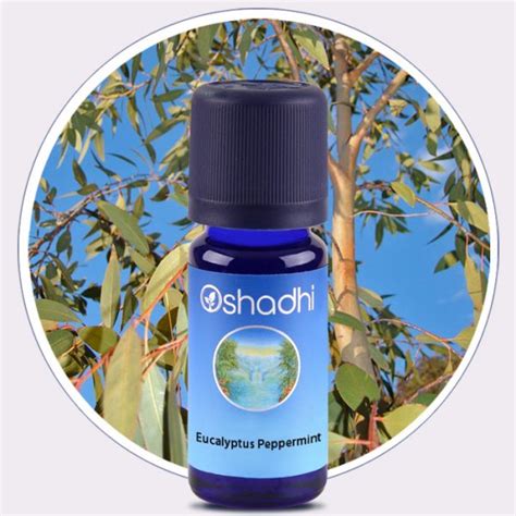 Eucalyptus Peppermint Essential Oil Oshadhi Essential Oils