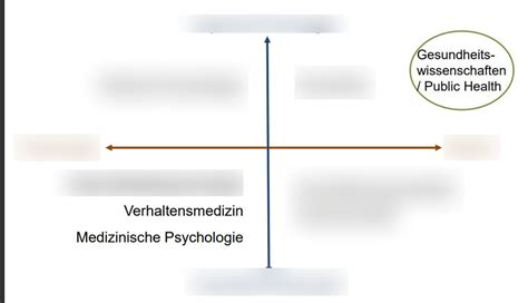 Spektrum Von Psychologie Und Medizin Diagram Quizlet