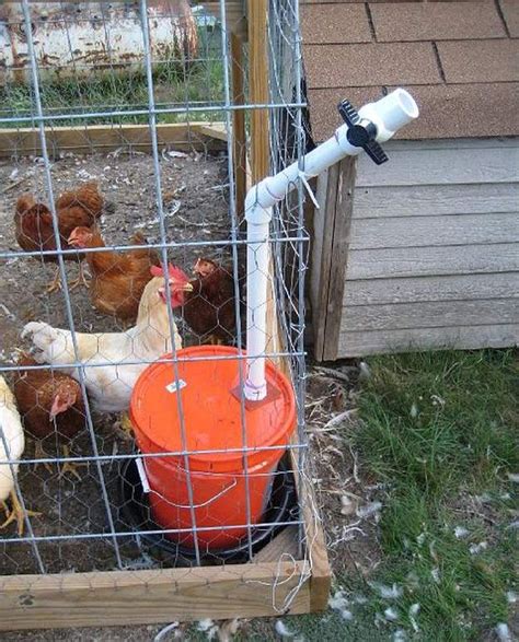 Easy To Build Chicken Watering Stations Homesteading Chicken