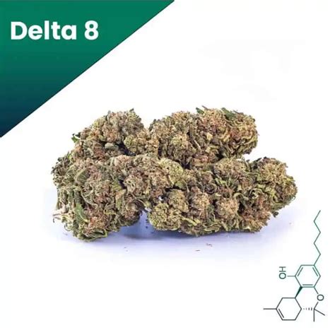 Forbidden V Delta 8 Flower Wholesale High Cbd Delta 8 Flower