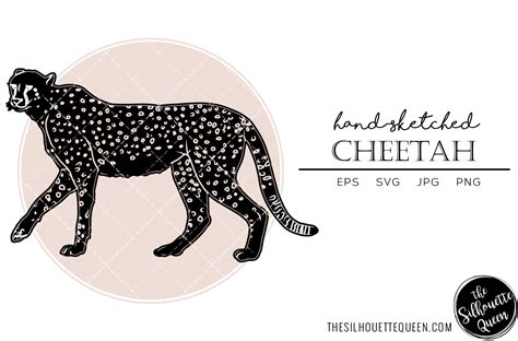 Cheetah Sketch Vector Graphic by thesilhouettequeenshop · Creative Fabrica