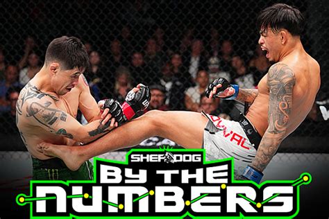 By the Numbers: UFC Fight Night 237