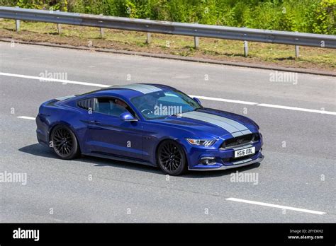 Matte Blue Mustang