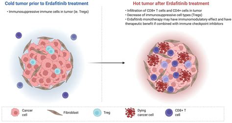 Immunotherapy With Checkpoint Inhibitors In FGFR Altered Urothelial