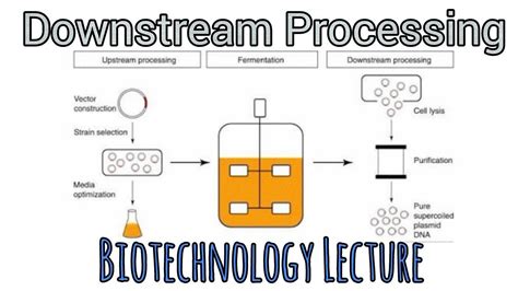 Upstream Vs Downstream Processing