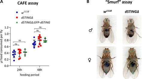 Figures And Data In Drosophila STING Protein Has A Role In Lipid