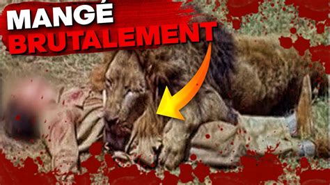 L Attaque De Lion Tragique La Plus Brutale Jamais Vue YouTube