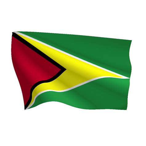 Guyana Flag (Heavy Duty Nylon Flag)