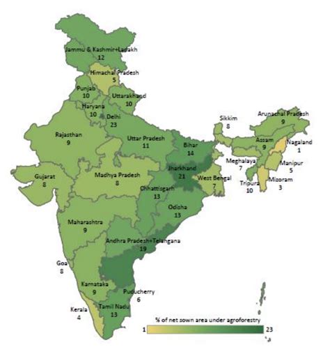 What is Agroforestry Potential in India? CEEW Research