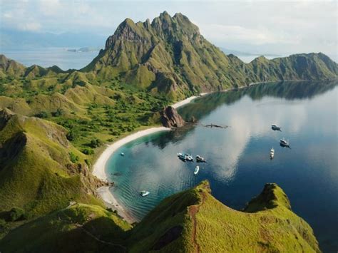 Komodo National Park: Only Place In The World To Watch Komodo Dragon Naturally - TrendRadars India