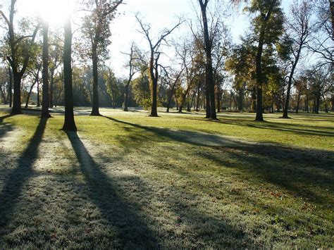 Free Images Tree Nature Forest Grass Dew Trail Lawn Meadow