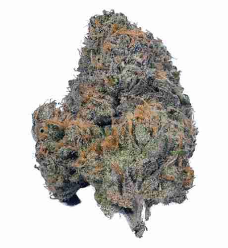 Ya Mar Marijuana Strain | Growing Weed