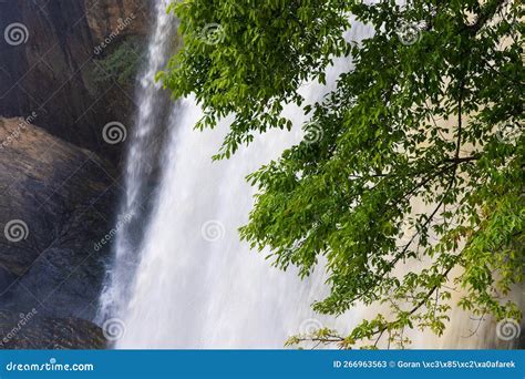 Elephant waterfall stock image. Image of beauty, cascade - 266963563