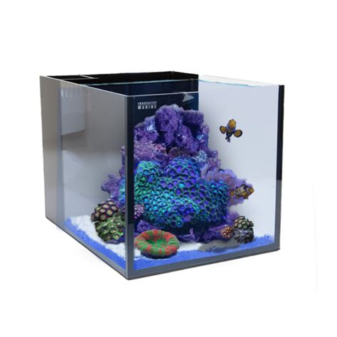 Nano Reef Tanks The Pro And Cons Of Small Reefs Mad Hatter S Reef Tank