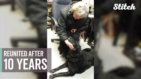 Owner Reunited With Missing Dog After 10 Years