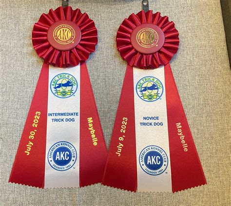 Personalized AKC Trick Dog Rosette Title Ribbon - Novice, Intermediate