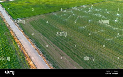 Scenic Aerial View Of Vast Irrigated Farmlands Showcasing The Beauty