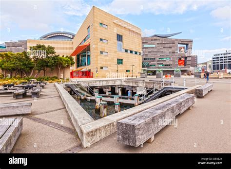 Te Papa The Museum Of New Zealand Wellington Stock Photo Alamy