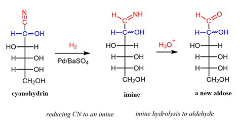 Kiliani Fischer Synthesis Chemistry Steps