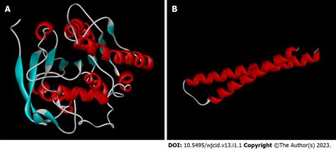 Mycobacterium Leprae Structure