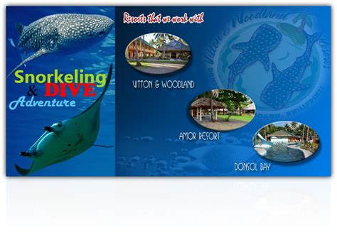 donsol whaleshark travel and tours, whaleshark donsol butanding, shark ...