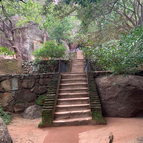 Desde Bentota Excursión a la Roca del León de Sigiriya y al Templo de