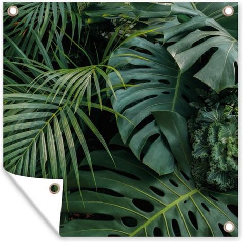 Tuinposters Planten Jungle Bladeren Tropisch 50x50 Cm Bol