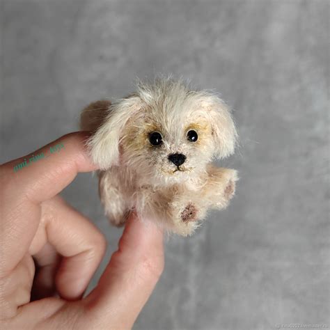 Миниатюрная собака. Вязаная собачка Йорк. Шпиц в интернет-магазине ...