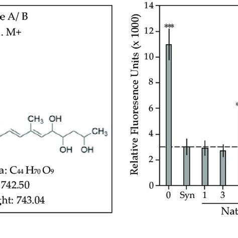 Cytotoxicity Comparison Of Synthetic Mycolactone A B Compared To