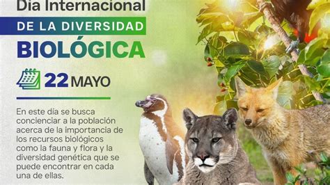 Dia Internacional De La Diversidad Biologica Noticias Municipalidad