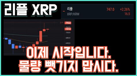 리플 Xrp 이제 시작입니다 물량 뺏기지 맙시다 Youtube