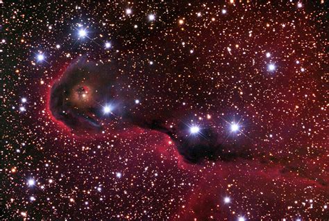 Elephant Trunk Nebula Ic 1396a By Robert Gendler Jim Misti Science