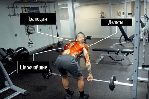 Тяга штанги в наклоне — техника, плюсы и минусы. Какие мышцы работают?