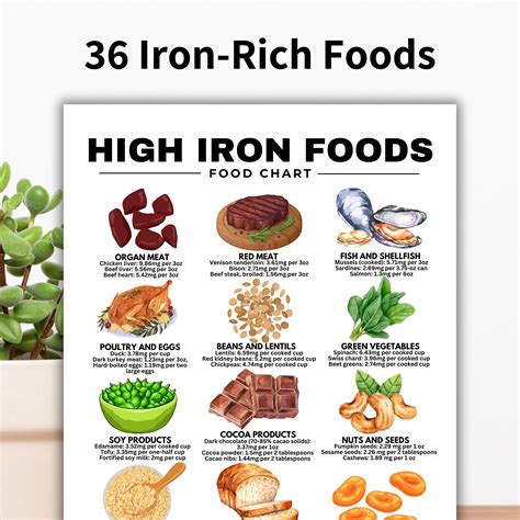 Iron Rich Food List 36 High Iron Foods For Anemia Or Iron Deficiency