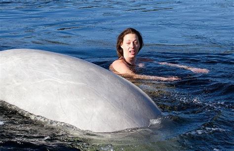 Breathtaking Photos Of Womans Nude Swim With Beluga Whales Warning