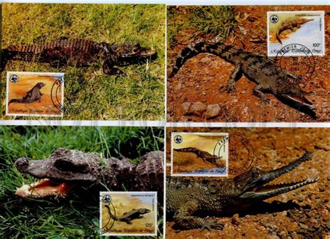 Congo Crocodiles Year Wwf Set Of First Day Maximum Cards