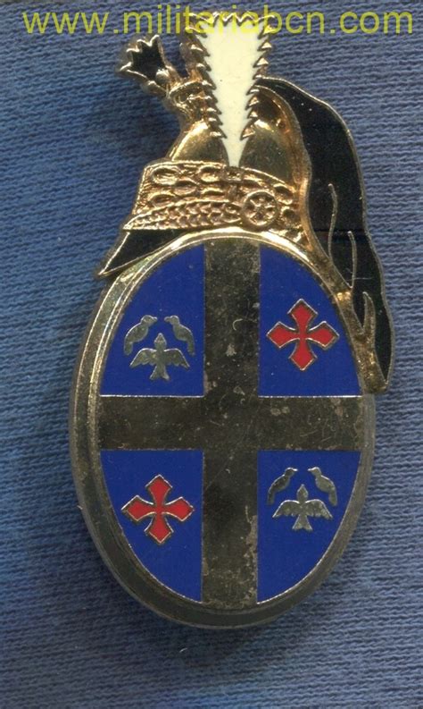 Insignia escadron d éclairage divisionnaire de la 10 division blindée