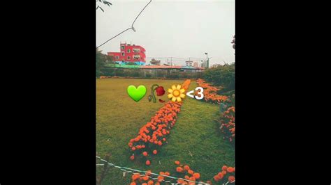 👉কতো সুন্দর ফুলের বাগান সুবহানাল্লাহ🌼🤩💥shortvideo Viral