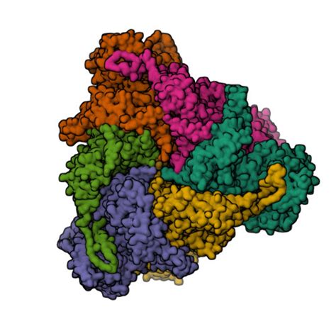 Rcsb Pdb C W Structure Of The Peroxisomal Pex Pex Atpase Complex