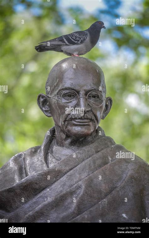 Mahatma Gandhi Statue, Parliament Square, London, England, United ...