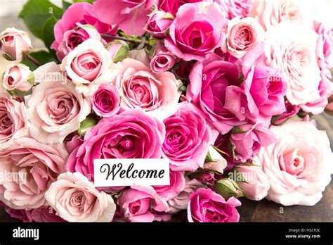 Welcome Card With Bouquet Of Pink Roses Stock Photo Alamy